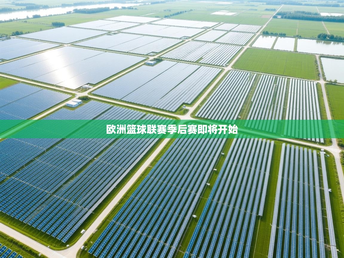 开云平台-欧洲篮球联赛季后赛即将开始  第1张