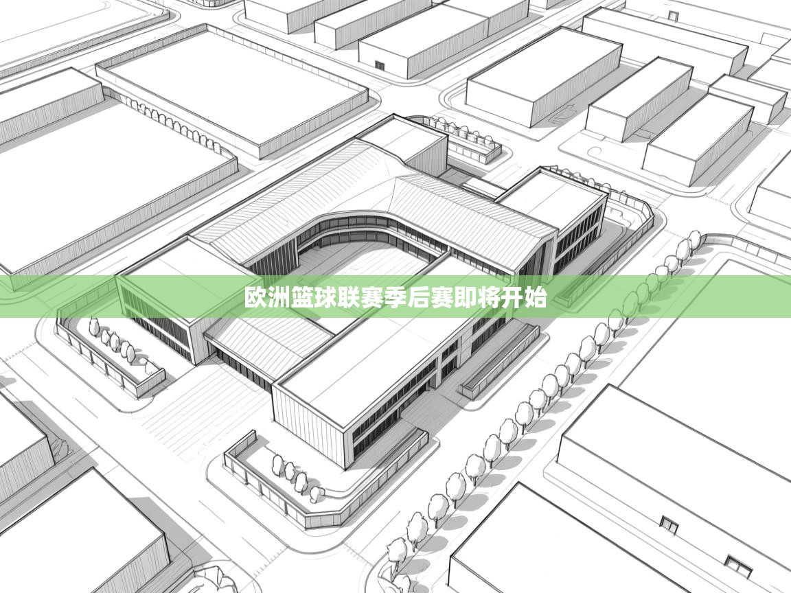 开云平台-欧洲篮球联赛季后赛即将开始  第2张