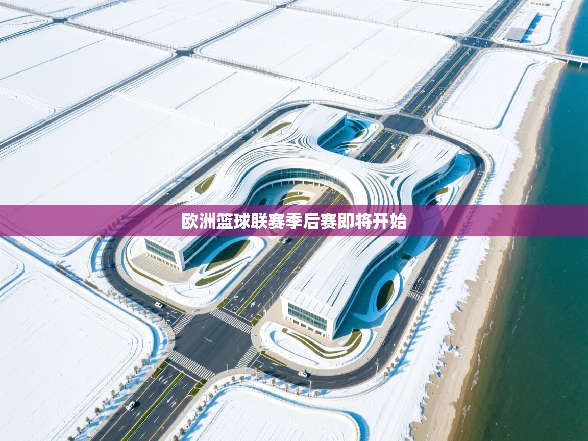 开云平台-欧洲篮球联赛季后赛即将开始  第3张