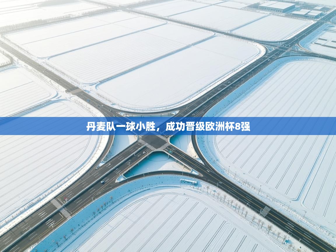 开云kaiyun体育app入口下载官网-丹麦队一球小胜，成功晋级欧洲杯8强  第1张