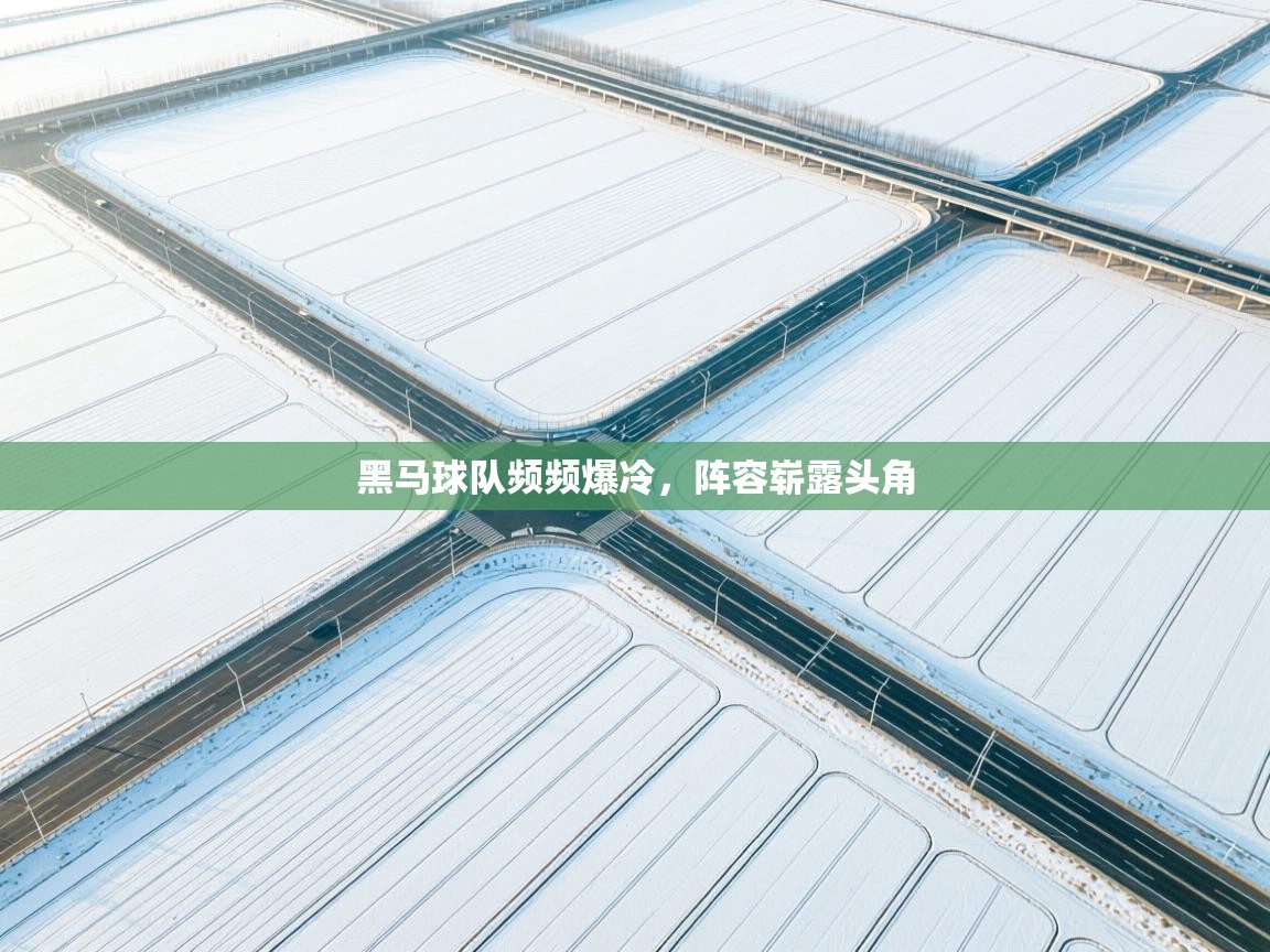 开云体育入口注册-黑马球队频频爆冷，阵容崭露头角  第1张