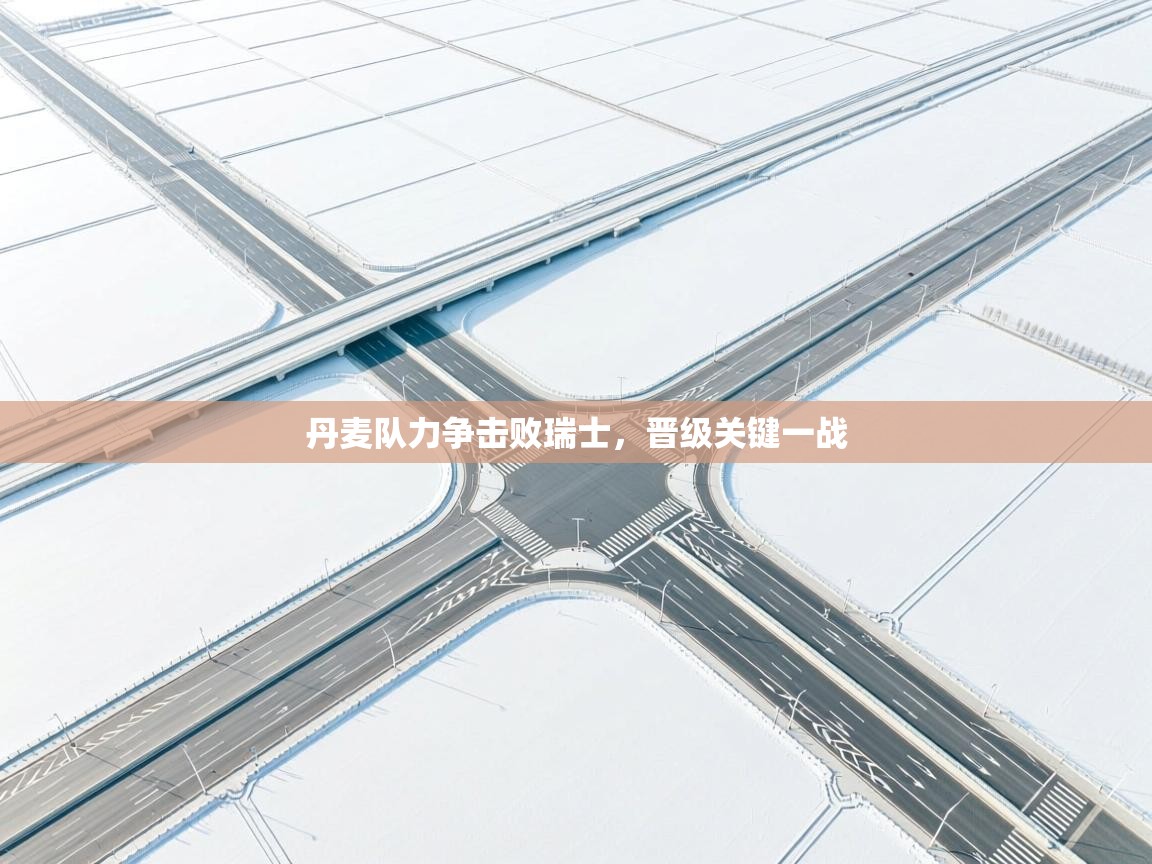 开云体育app-丹麦队力争击败瑞士，晋级关键一战  第2张