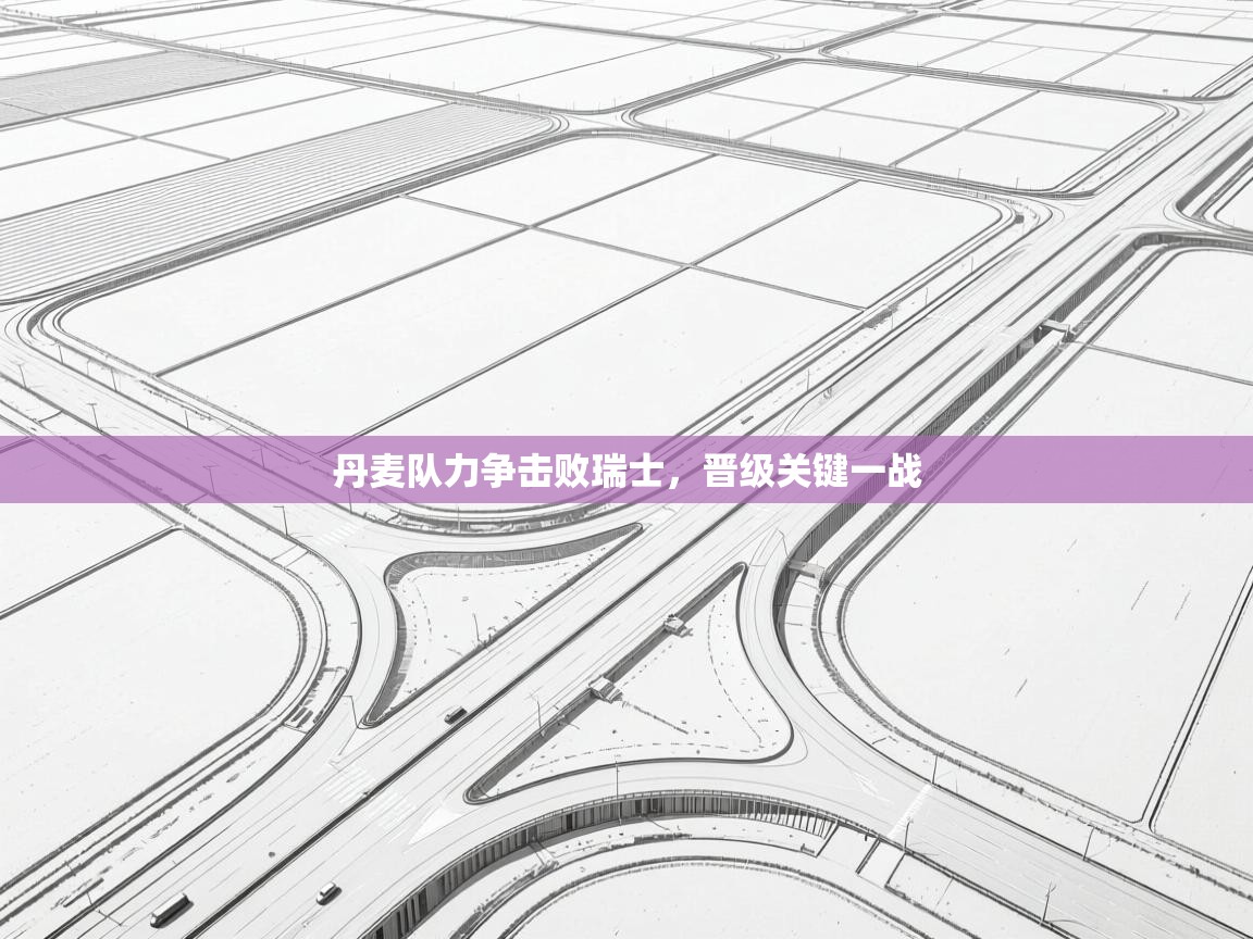 开云体育app-丹麦队力争击败瑞士，晋级关键一战  第3张