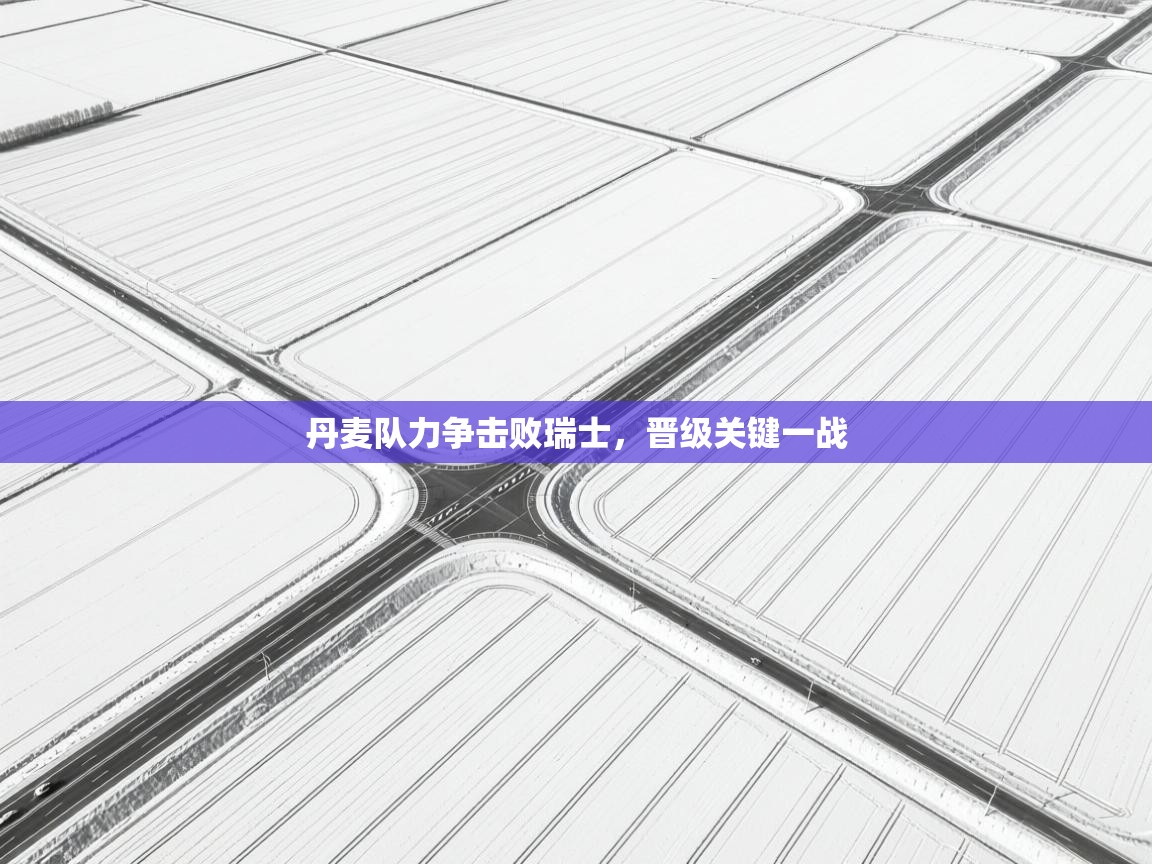 开云体育app-丹麦队力争击败瑞士，晋级关键一战  第4张