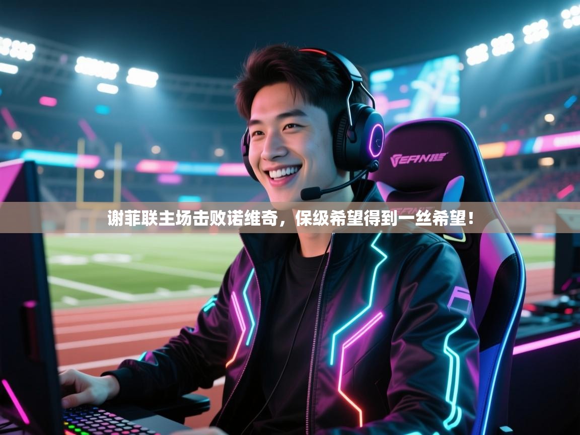 开云体育热门赛事直达-谢菲联主场击败诺维奇，保级希望得到一丝希望！  第4张